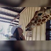 photo of Alejandra A.