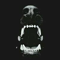 photo of Danielle H.