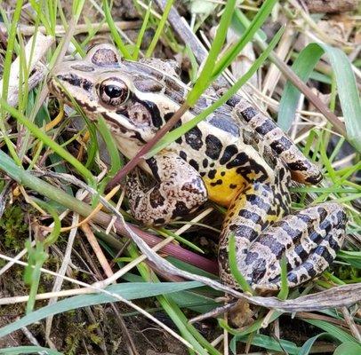 Photo of Gretchen B.