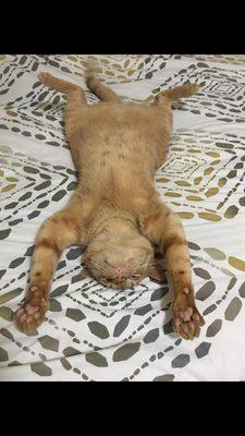 photo of Atxfadez U.