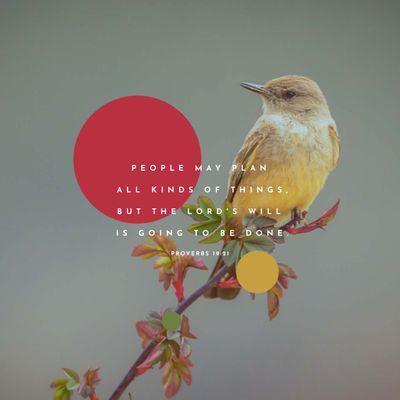 photo of Brigitte J.