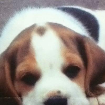 Photo of Joycelyn A.