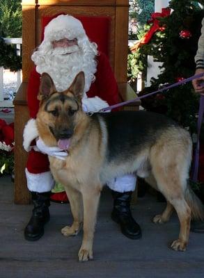 photo of Mitchell T.