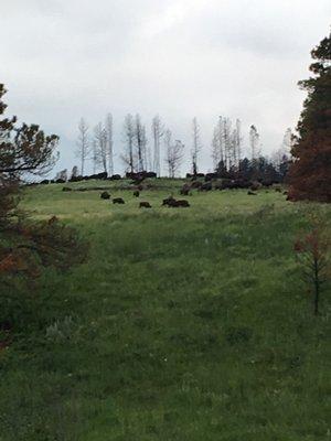 photo of Maryteresa K.