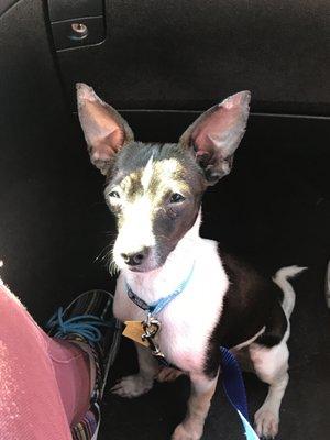 photo of Kierstien G.