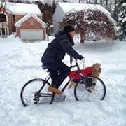 photo of Teerathep T.