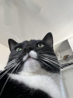 photo of Safiullah H.