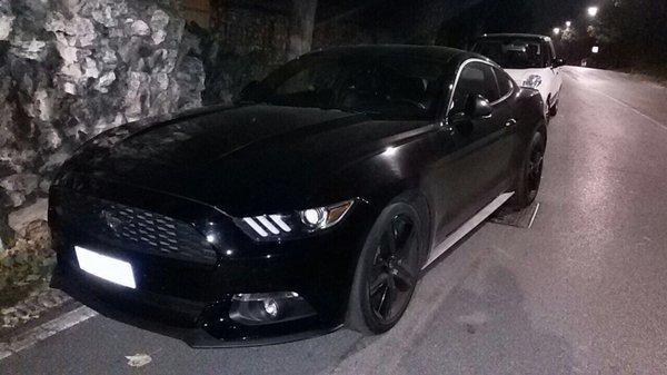 photo of Pasquale C.