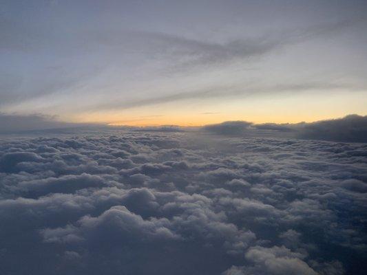 Photo of N B.