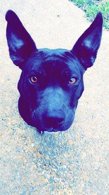 Photo of Mya B.