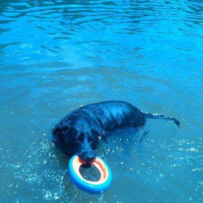 photo of Hasina-Nvva N.