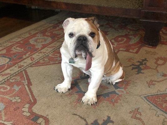 photo of Franklin P.