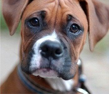 Photo of Mr. B.