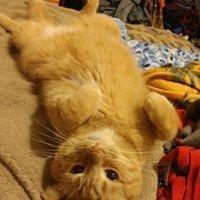 photo of Michelle S.