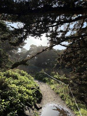 photo of Gabriela G.