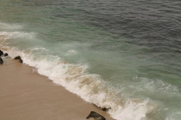 photo of Live Laugh Love L.