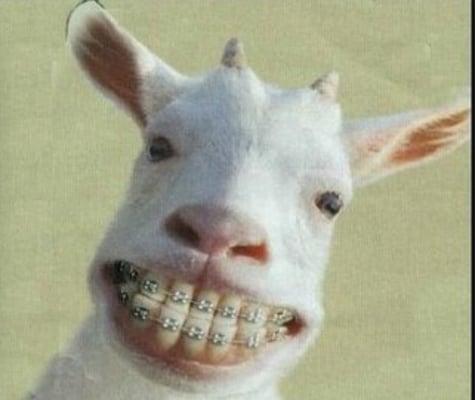 Photo of Crystal D.