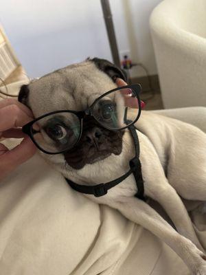 photo of Francesco B.