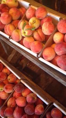 photo of Jenna-Leigh A.