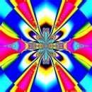 photo of Princess D.