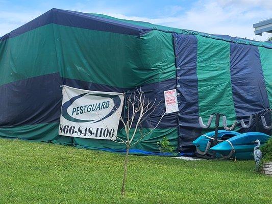 photo of Elizabeth E.