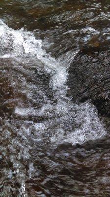 Photo of Brittany W.