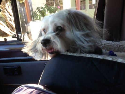 photo of Elizabeth V.