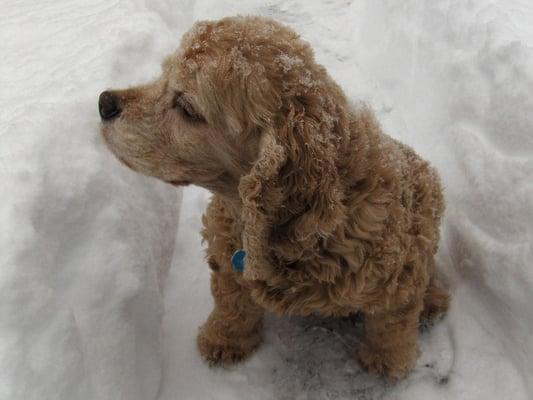 Photo of Michelle R.