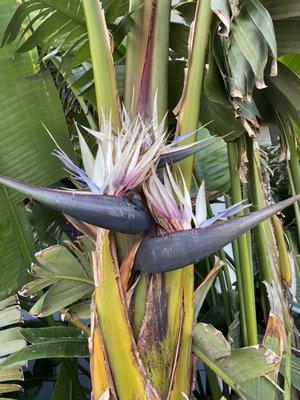 photo of Rochelle U.