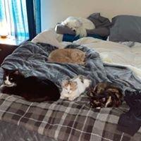 Photo of Alaina Ann O.