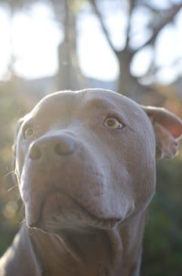 photo of Christine S.