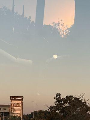 photo of Gabriela G.