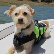 photo of Michelle G.