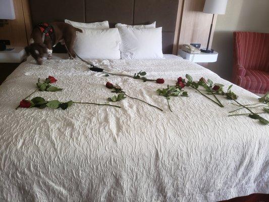 photo of Antoiniette W.