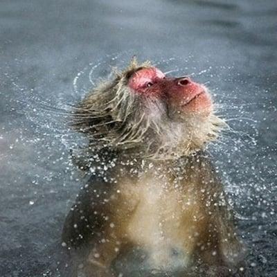 photo of Jennifer S.