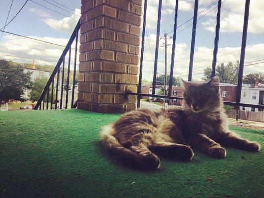 Photo of Caroline S.