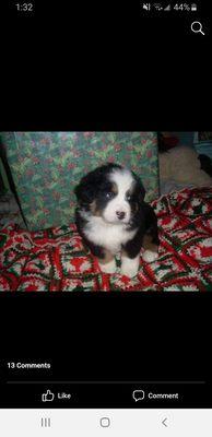 photo of Christine B.