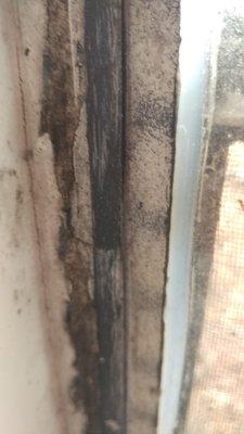 photo of Charlene P.