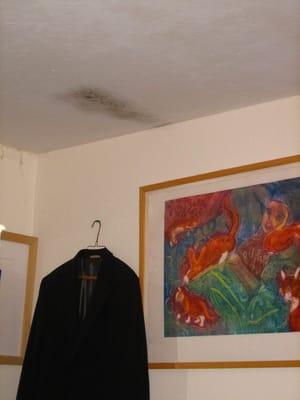 Photo of Anna R.