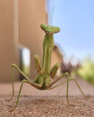 Photo of R B.