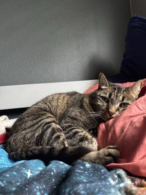 photo of Isabella H.