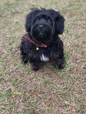 photo of Margaret R.