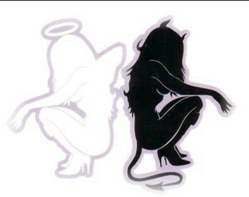 photo of Verchema F.