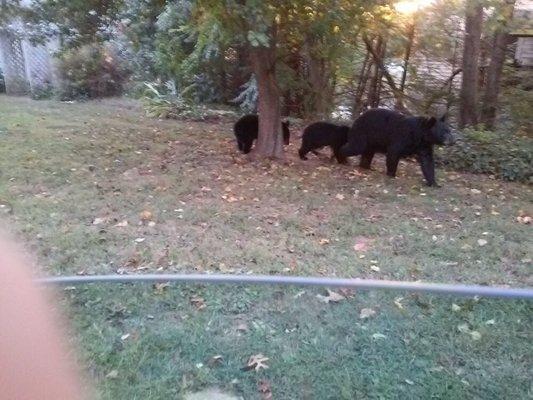 photo of Caroline R.