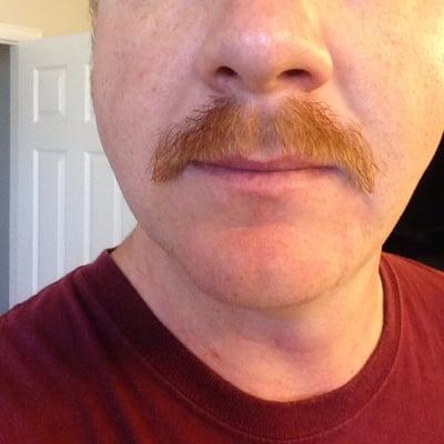 Photo of Bob L.
