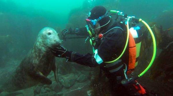 photo of Capt. Rob J.