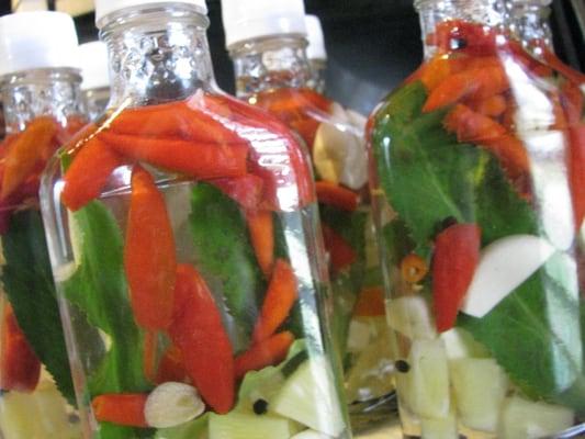Photo of Hotsauc E.