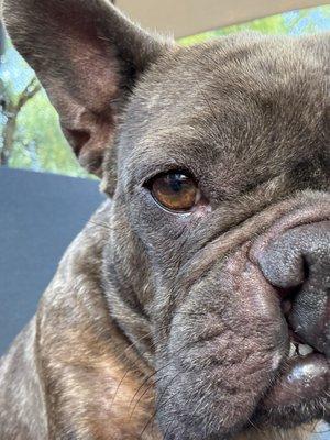 photo of Leonte Guerrero ..