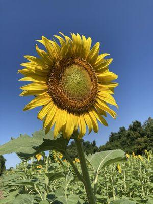 photo of Kimberly W.