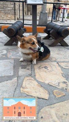 Photo of Brooklyn T.